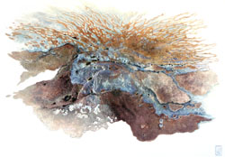 Rhue Art