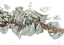 Rhue Art