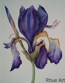 Rhue Art