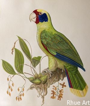 Rhue Art