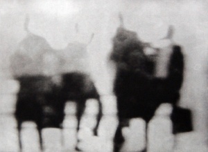 Transition 111Photogravure36.5 x 36.5 2011