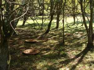 Gathering Dishes, HeartwoodMoray Sandstone5 x (10 x 60 cm diamtr)