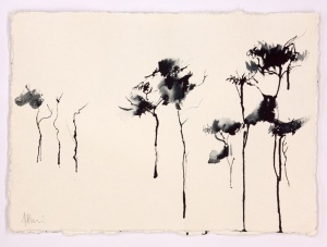 Trees at Coile Badan Mugaidgh 1Ink on paper42 x 31 cm 2013