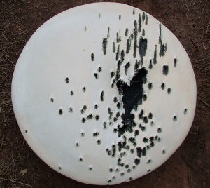 Disc 1Shotgun ceramic50 cm x 50 cm 2009