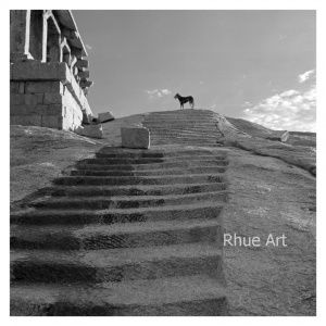 Dog & Steps, Virayanagar Ruins, Hampi, India 2006   edition of  20C type lambda print600x650mm400Unframed 340