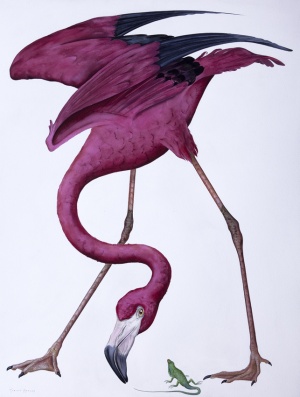 Flamingo Watercolour on Paper36 x 40inchessold